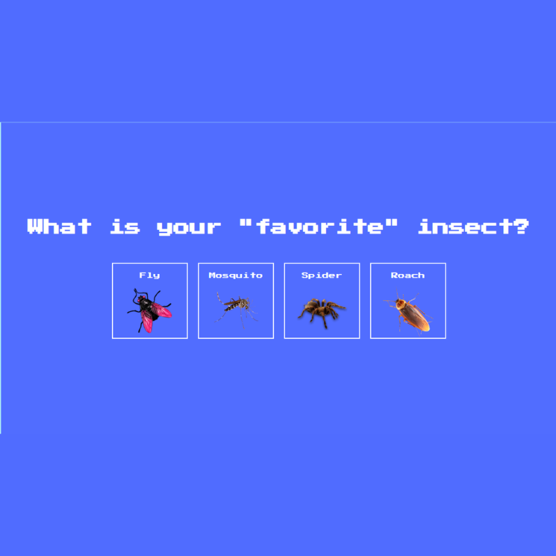 Insect Catch